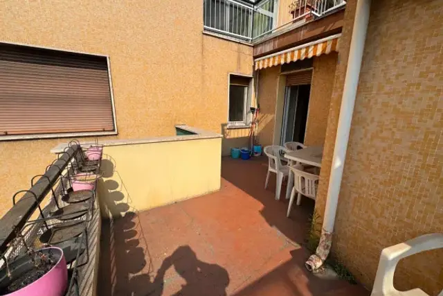 insertion image
