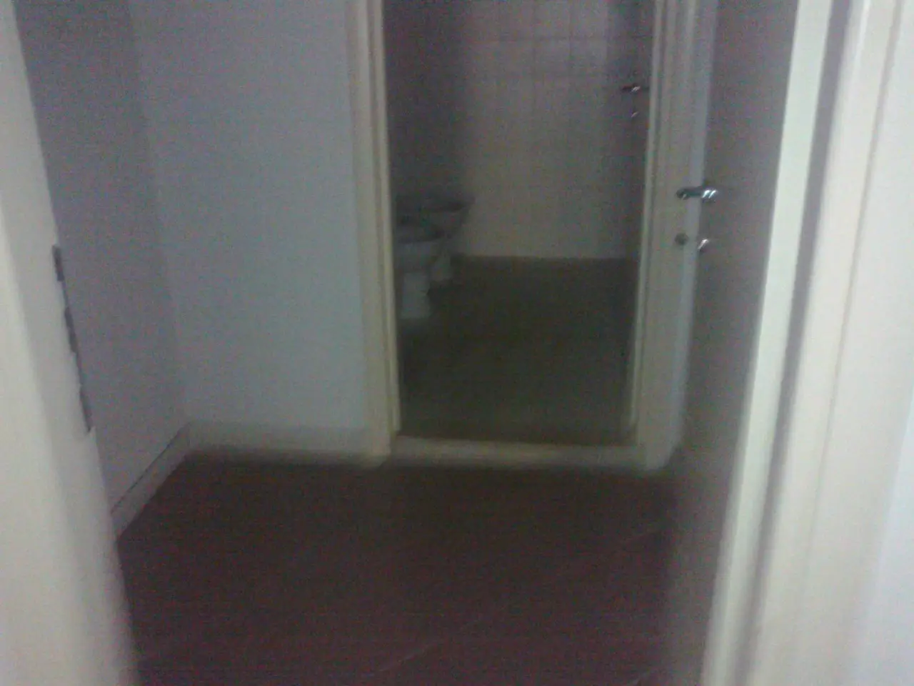 Esercizio commerciale in Via a Pacini 30, Bientina, {3} - Foto 2