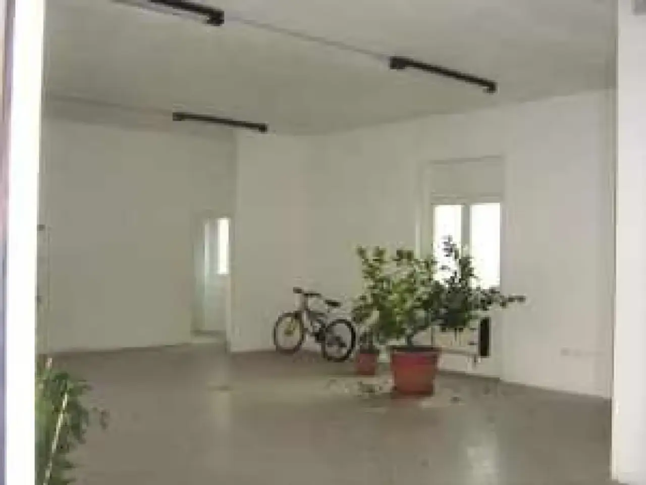 Negozio in Viale Vittorio Veneto 26, Sansepolcro, {3} - Foto 1