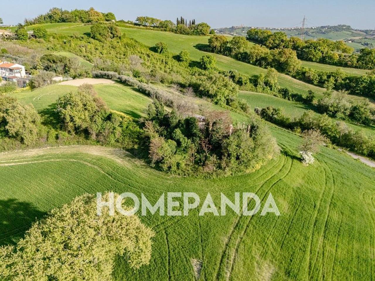 immagine annuncio 4 di 13