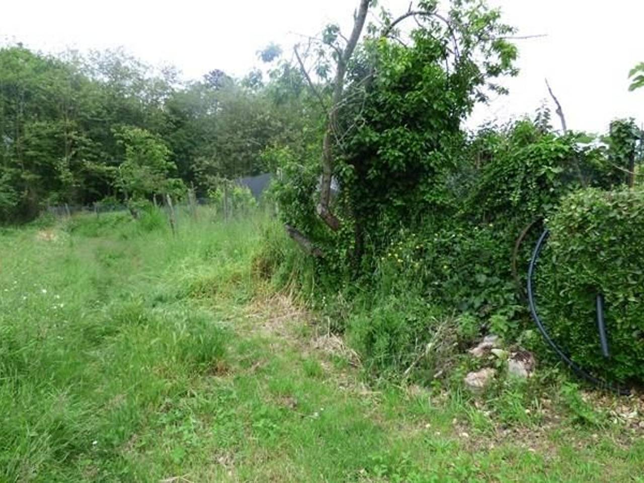 immagine annuncio 1 di 12