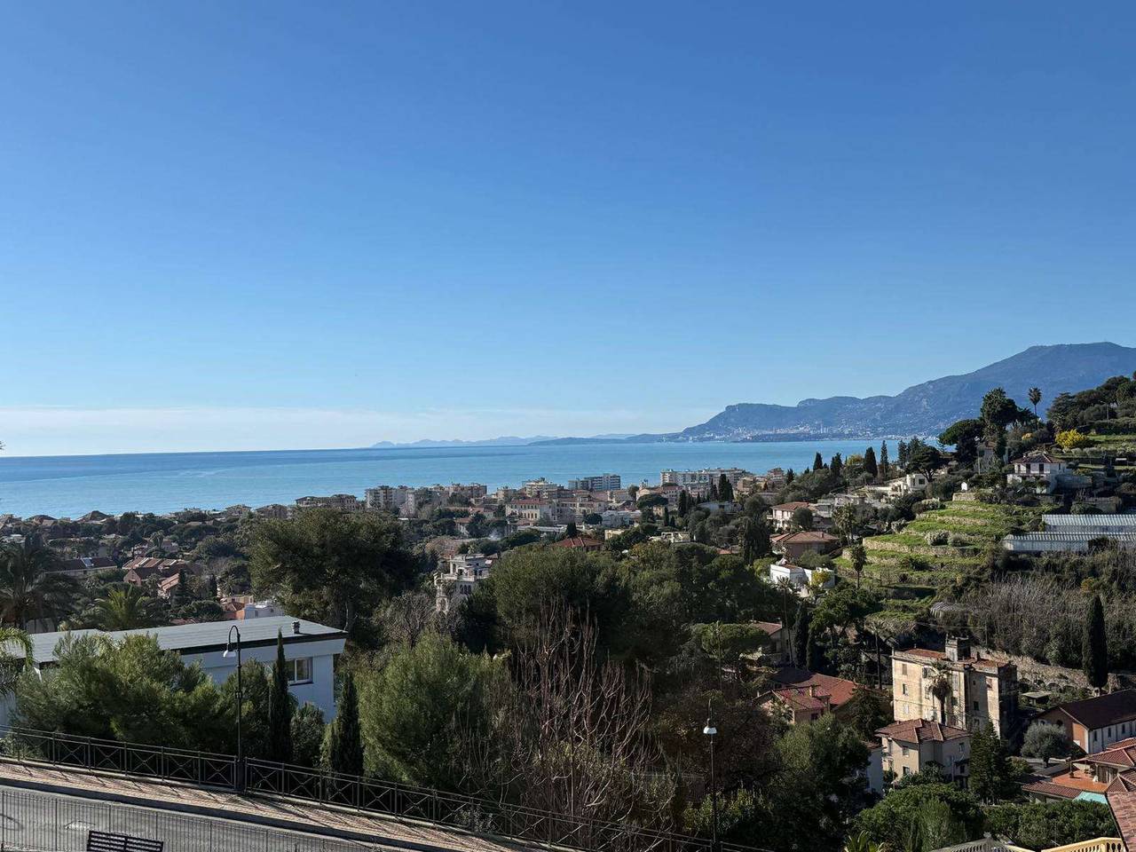 immagine annuncio 11 di 14