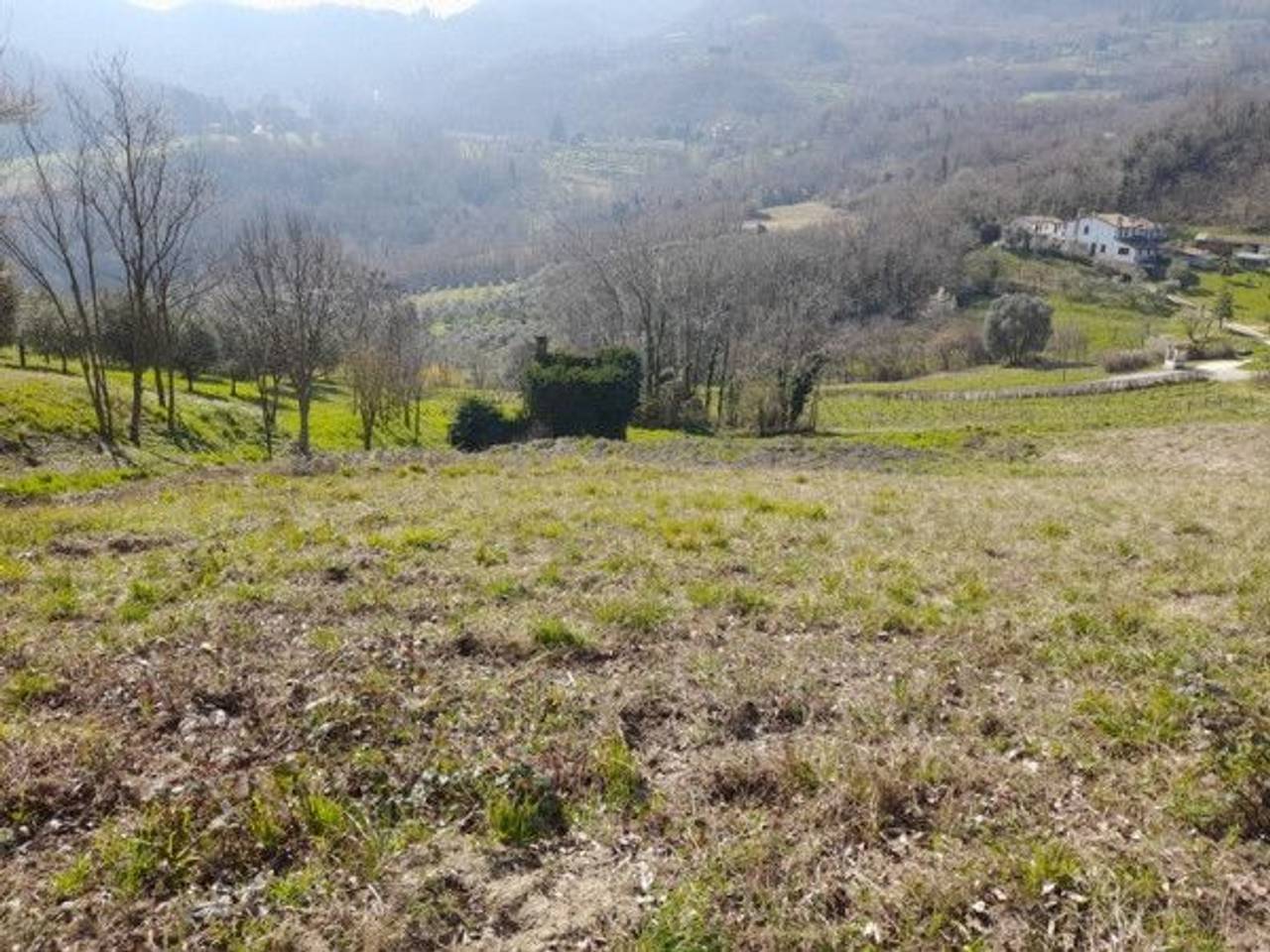 immagine annuncio 3 di 13