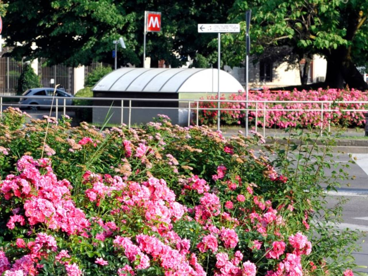 immagine annuncio 2 di 15