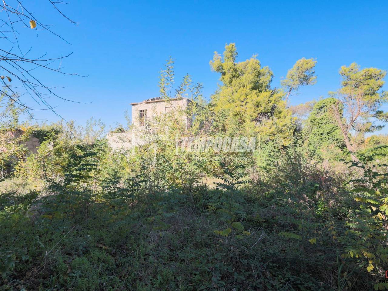 immagine annuncio 11 di 15