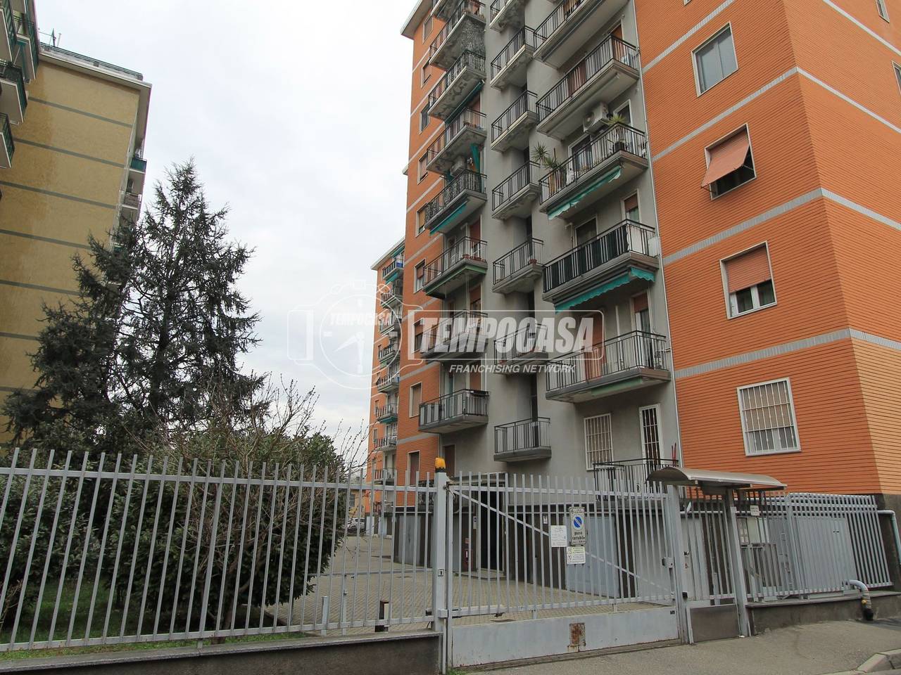 immagine annuncio 14 di 15