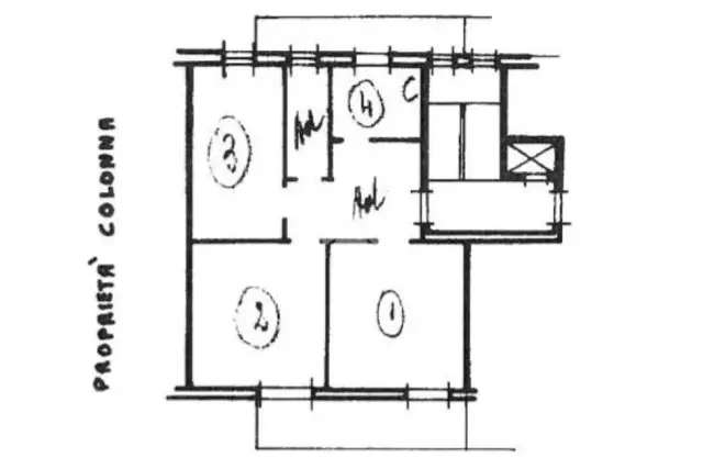 insertion image