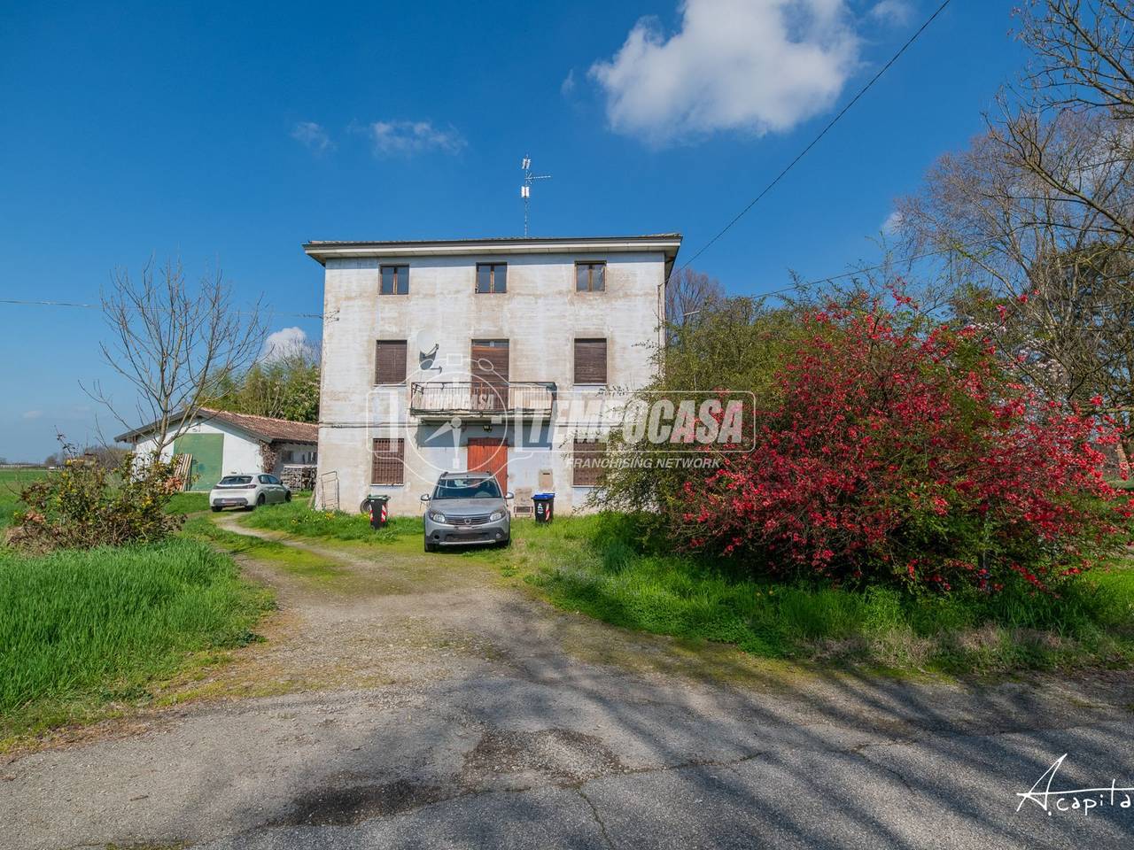 immagine annuncio 3 di 15