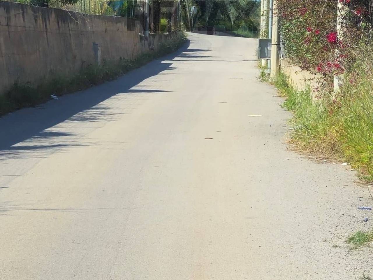 immagine annuncio 3 di 8