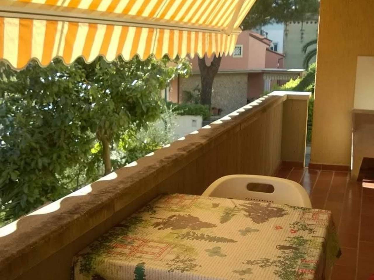 immagine annuncio 1 di 12