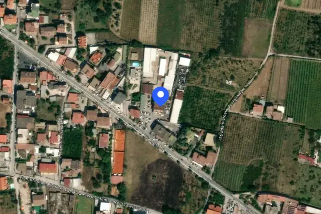 insertion image