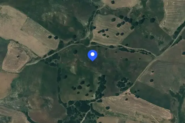 insertion image