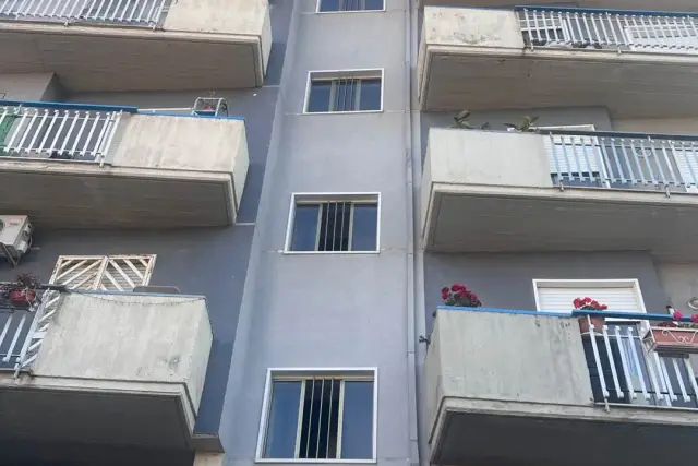 insertion image