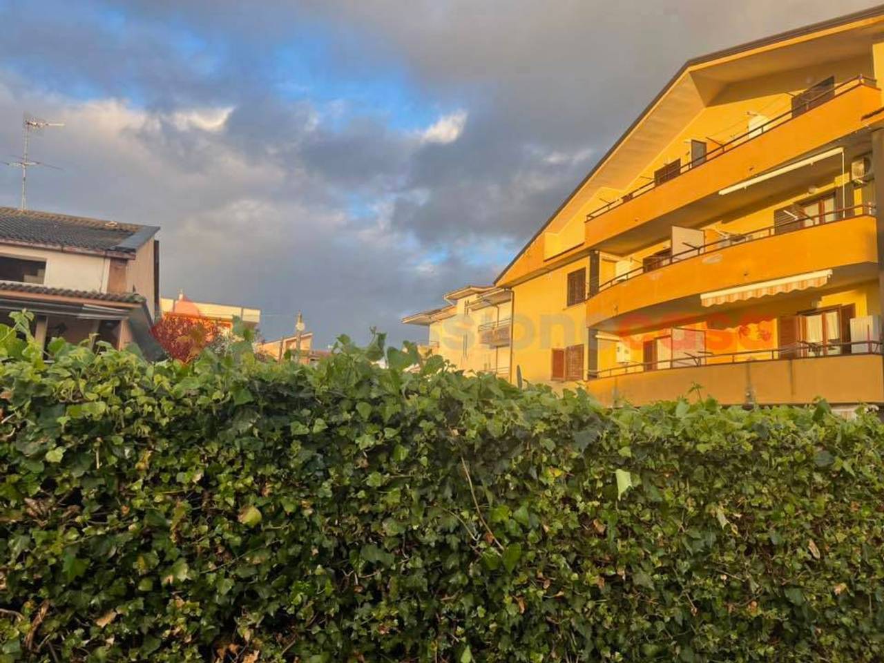 immagine annuncio 7 di 12