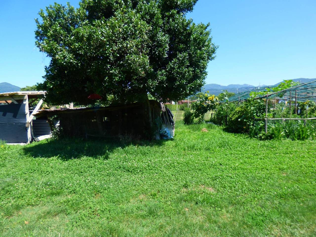 immagine annuncio 9 di 12