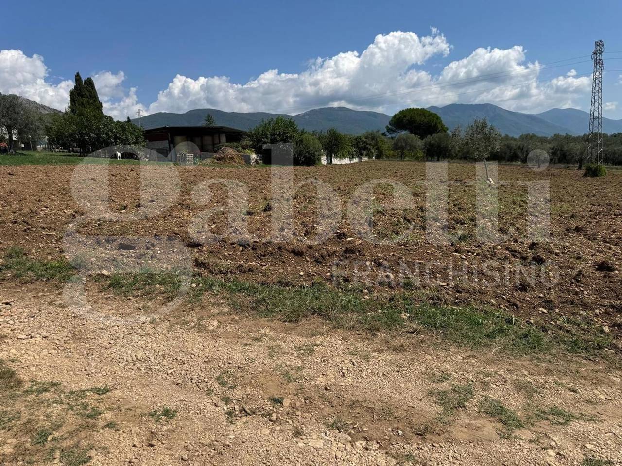 immagine annuncio 8 di 13