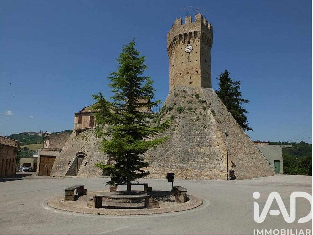 immagine annuncio 12 di 14