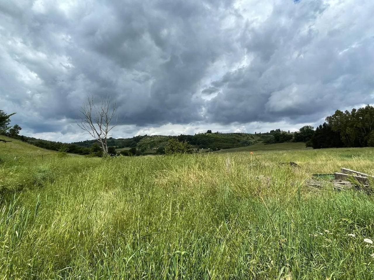 immagine annuncio 10 di 14