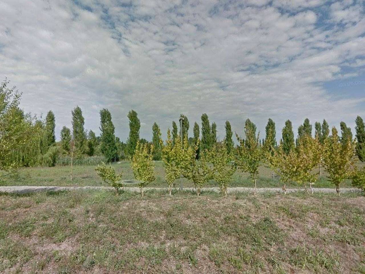 immagine annuncio 3 di 8