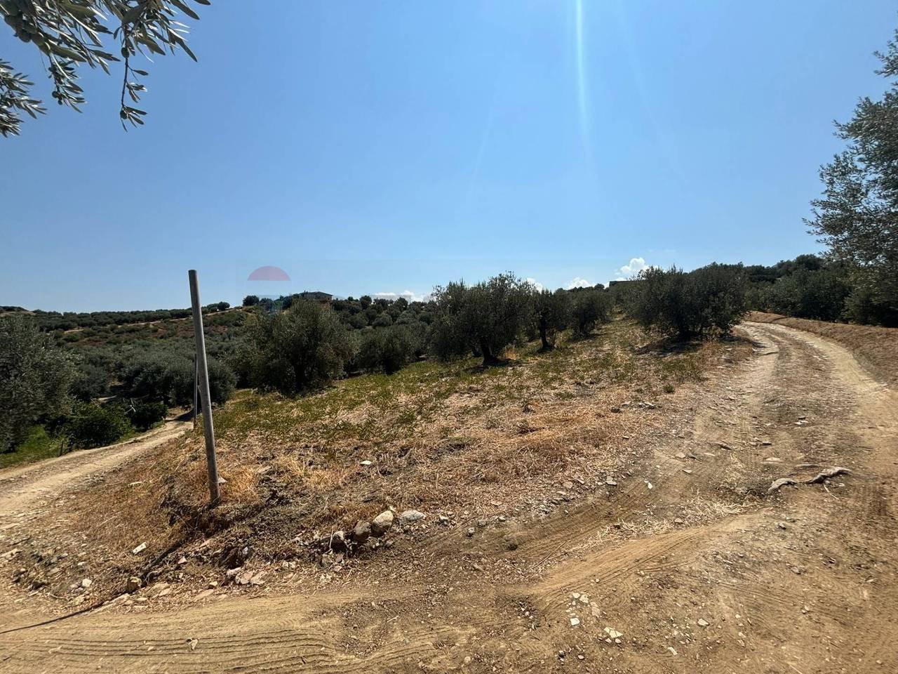 immagine annuncio 5 di 8