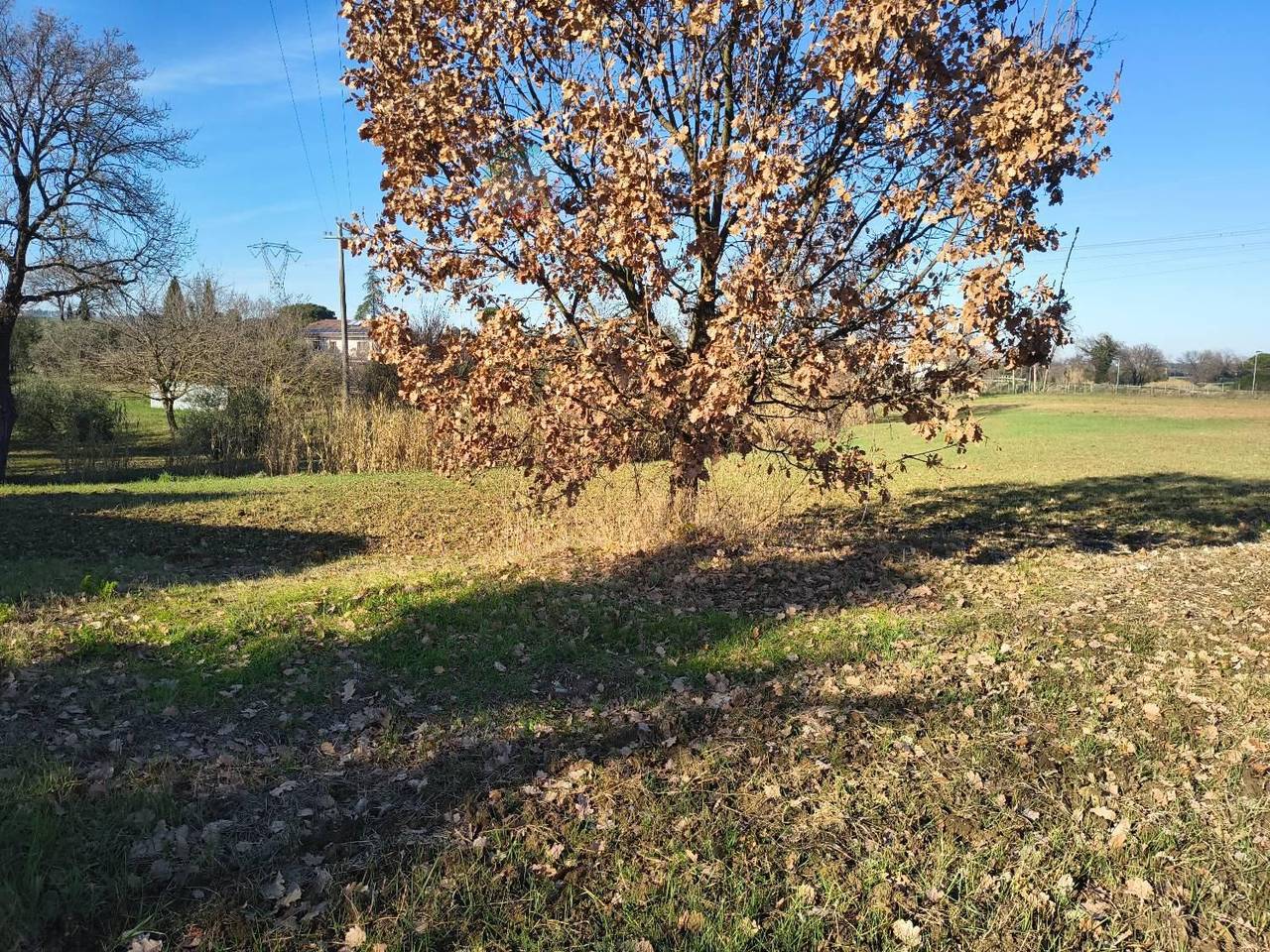 immagine annuncio 6 di 14