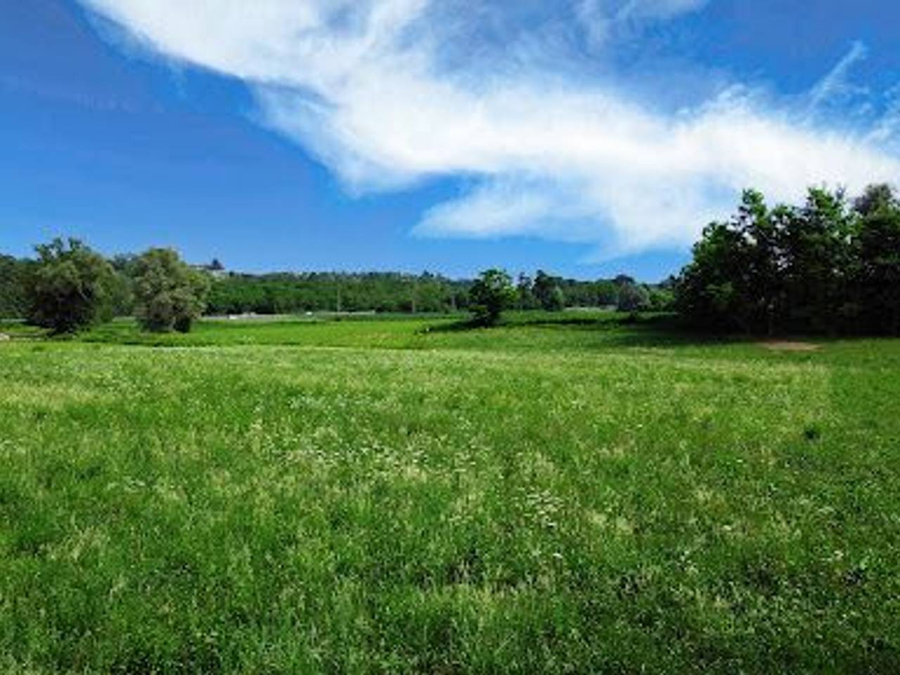 immagine annuncio 5 di 7