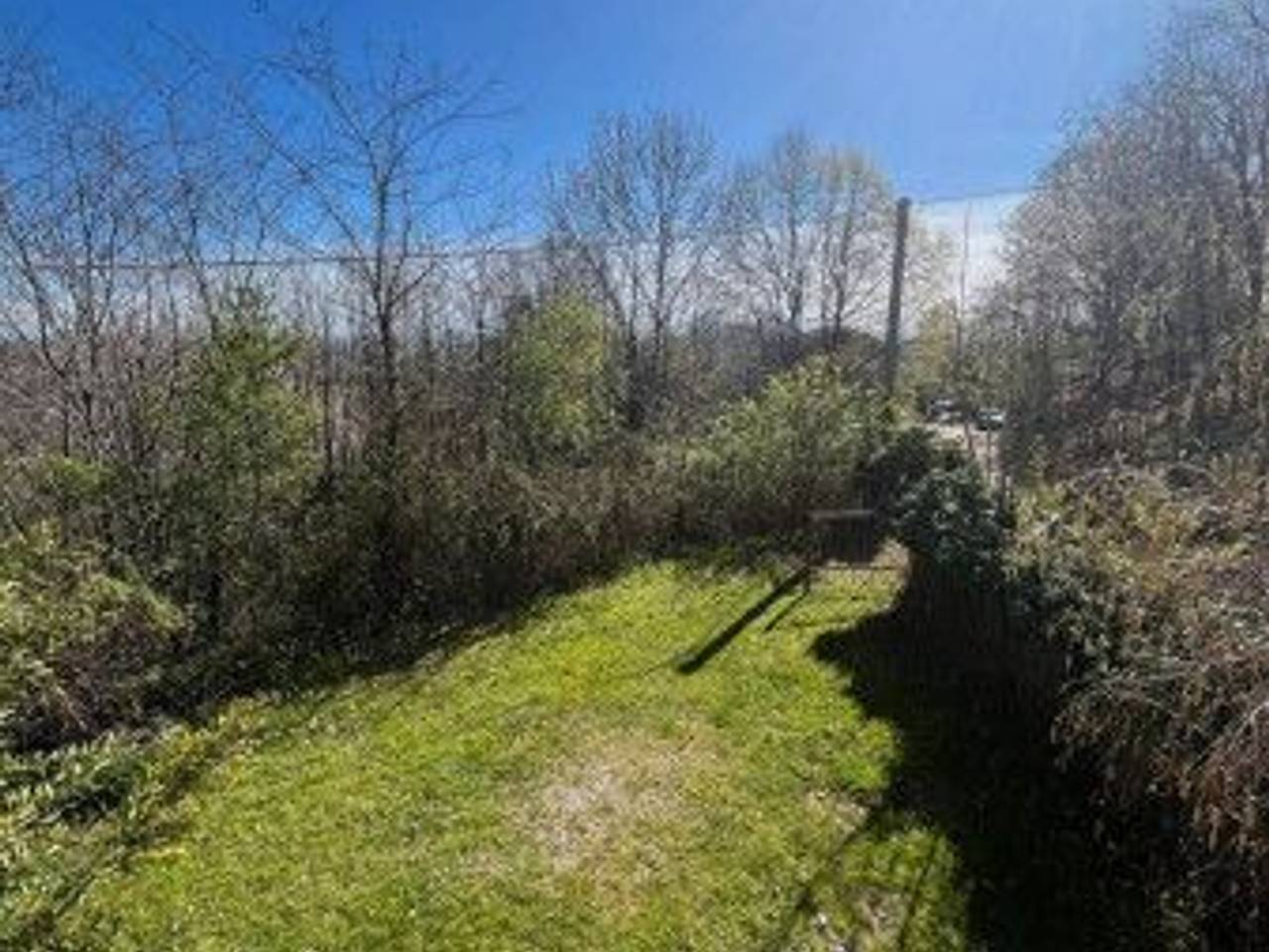 immagine annuncio 6 di 14