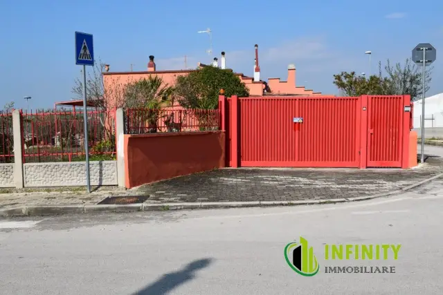 insertion image