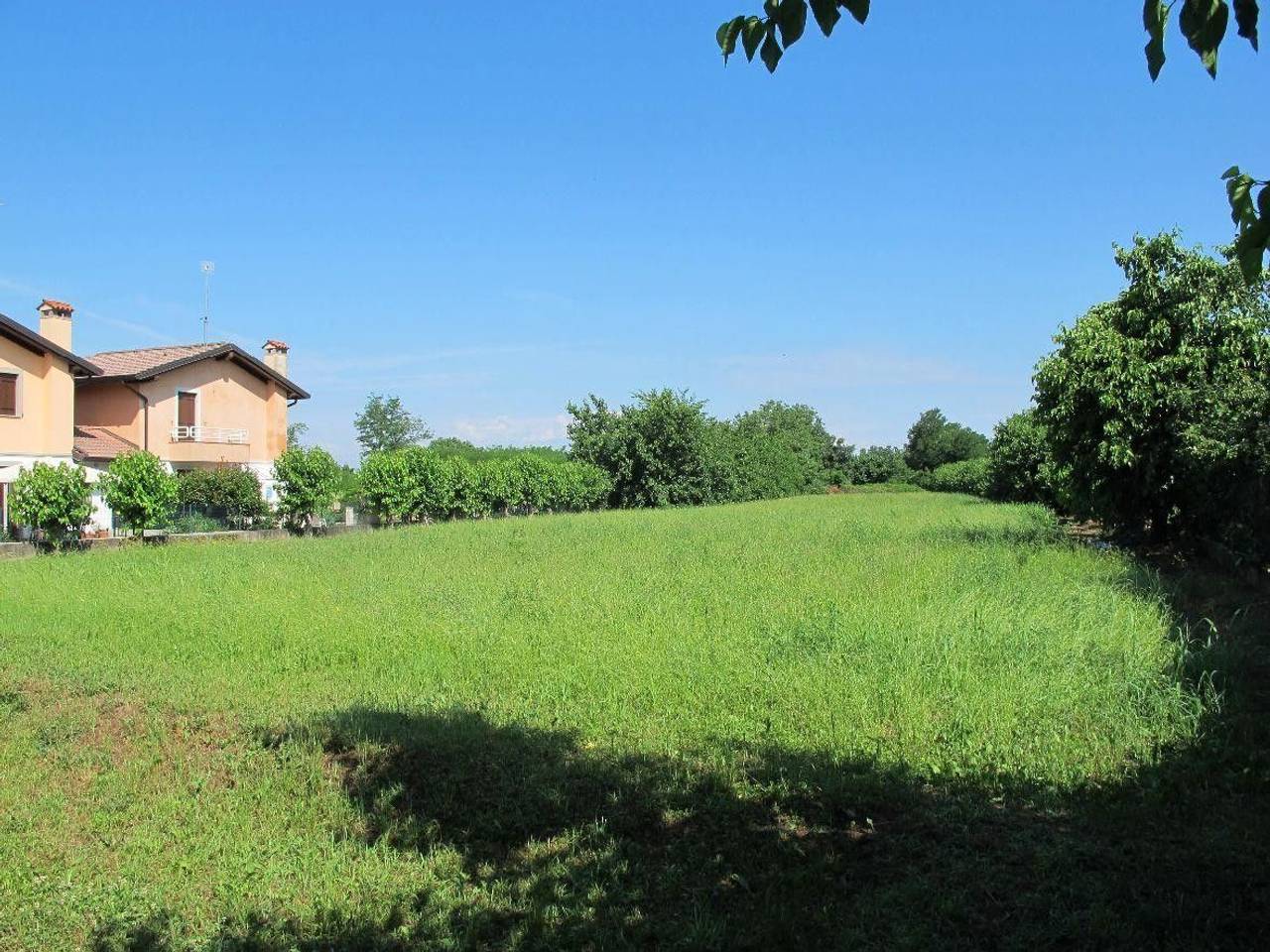 immagine annuncio 7 di 8