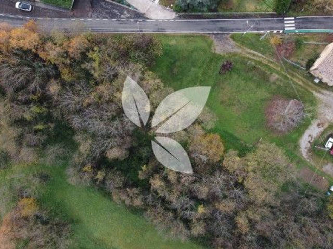 immagine annuncio 2 di 11