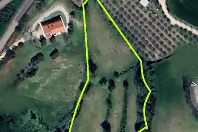 insertion image