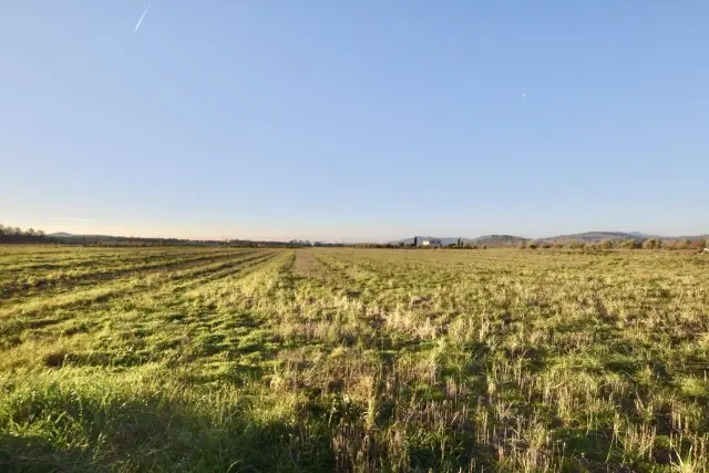 Terreno agricolo, Roccastrada - Foto 1