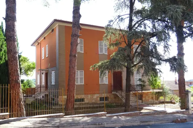 insertion image