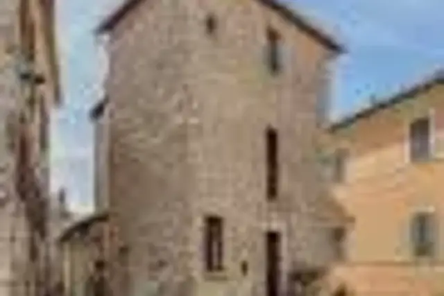insertion image
