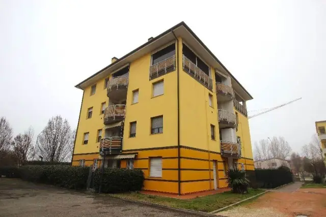 insertion image