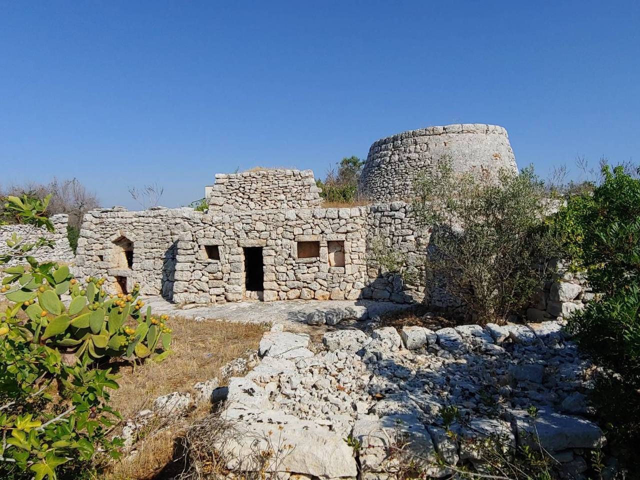 immagine annuncio 12 di 15