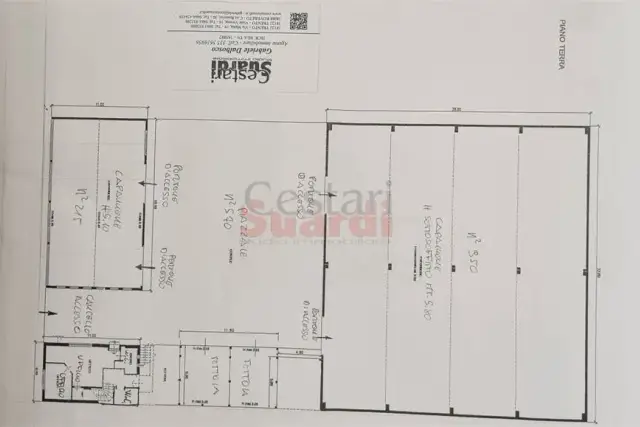 insertion image