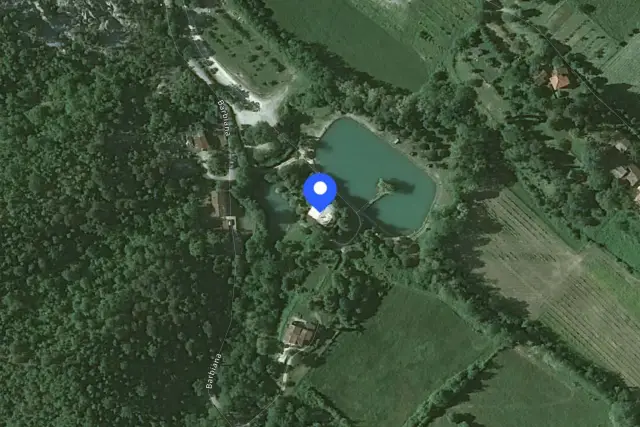 insertion image