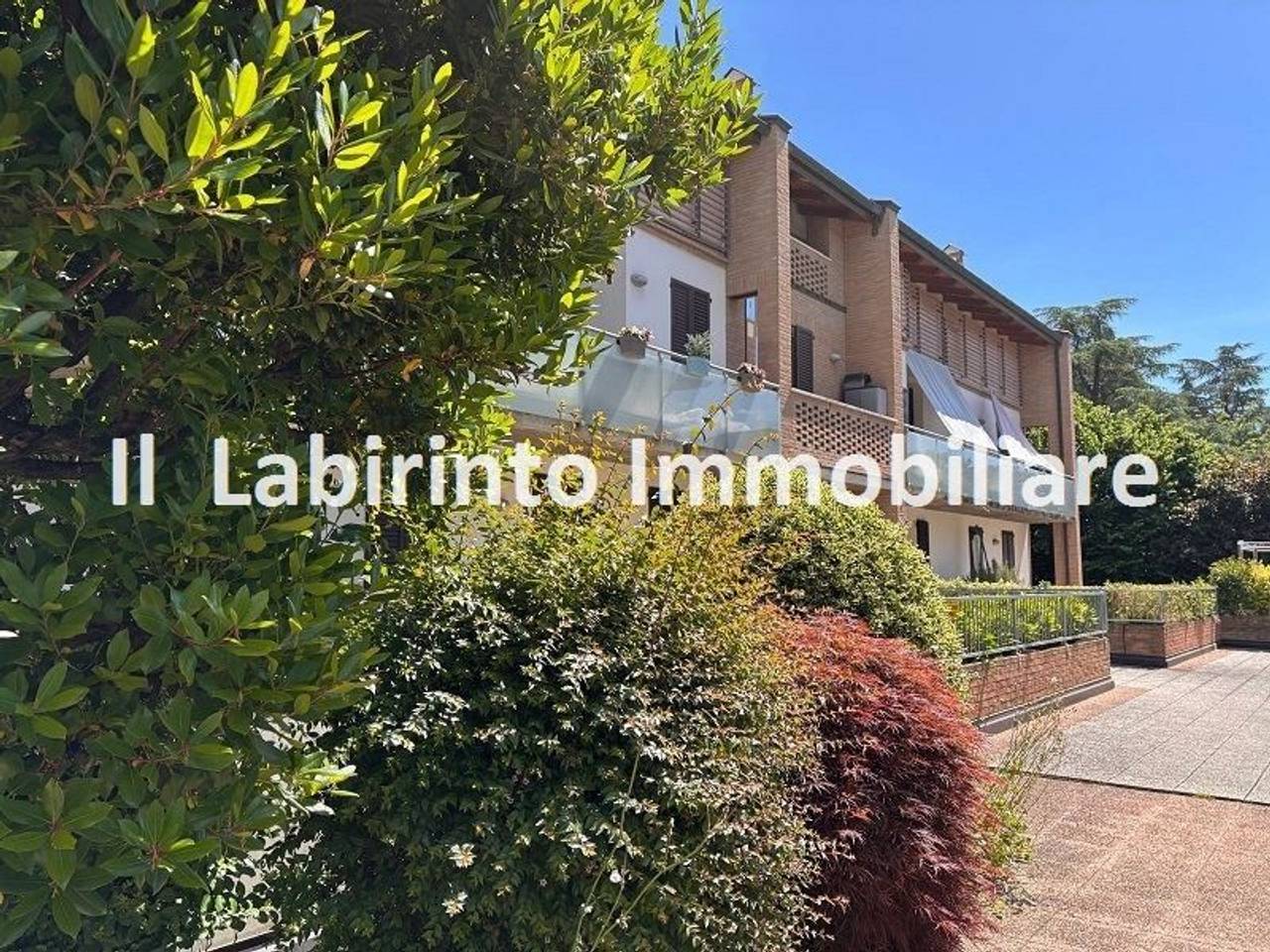 immagine annuncio 11 di 12
