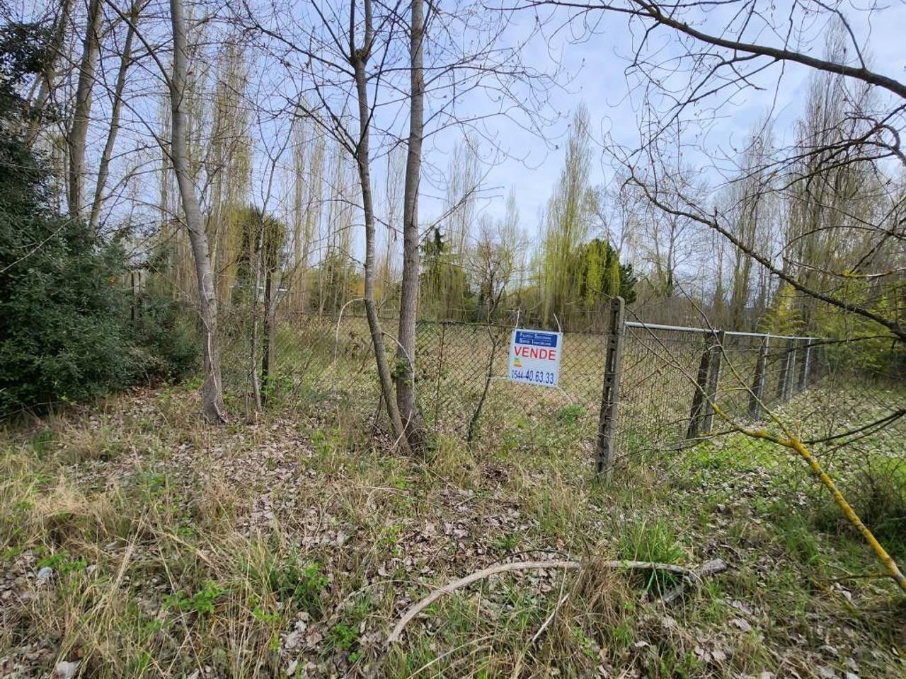 immagine annuncio 4 di 5