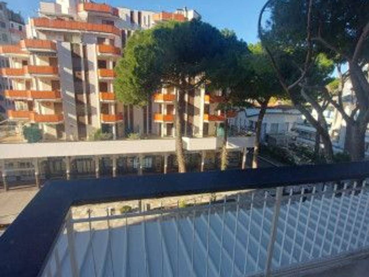 immagine annuncio 7 di 13