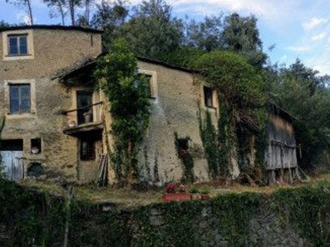 immagine annuncio 5 di 14