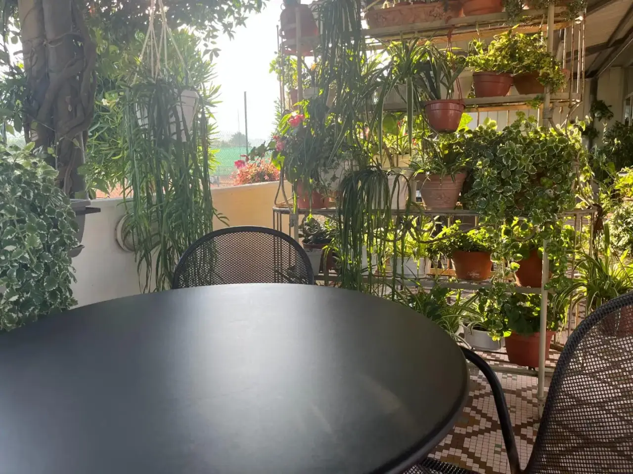 Esercizio commerciale in Via Fossa Maestra, Carrara, {3} - Foto 1