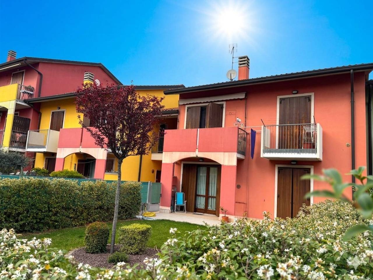 immagine annuncio 1 di 12