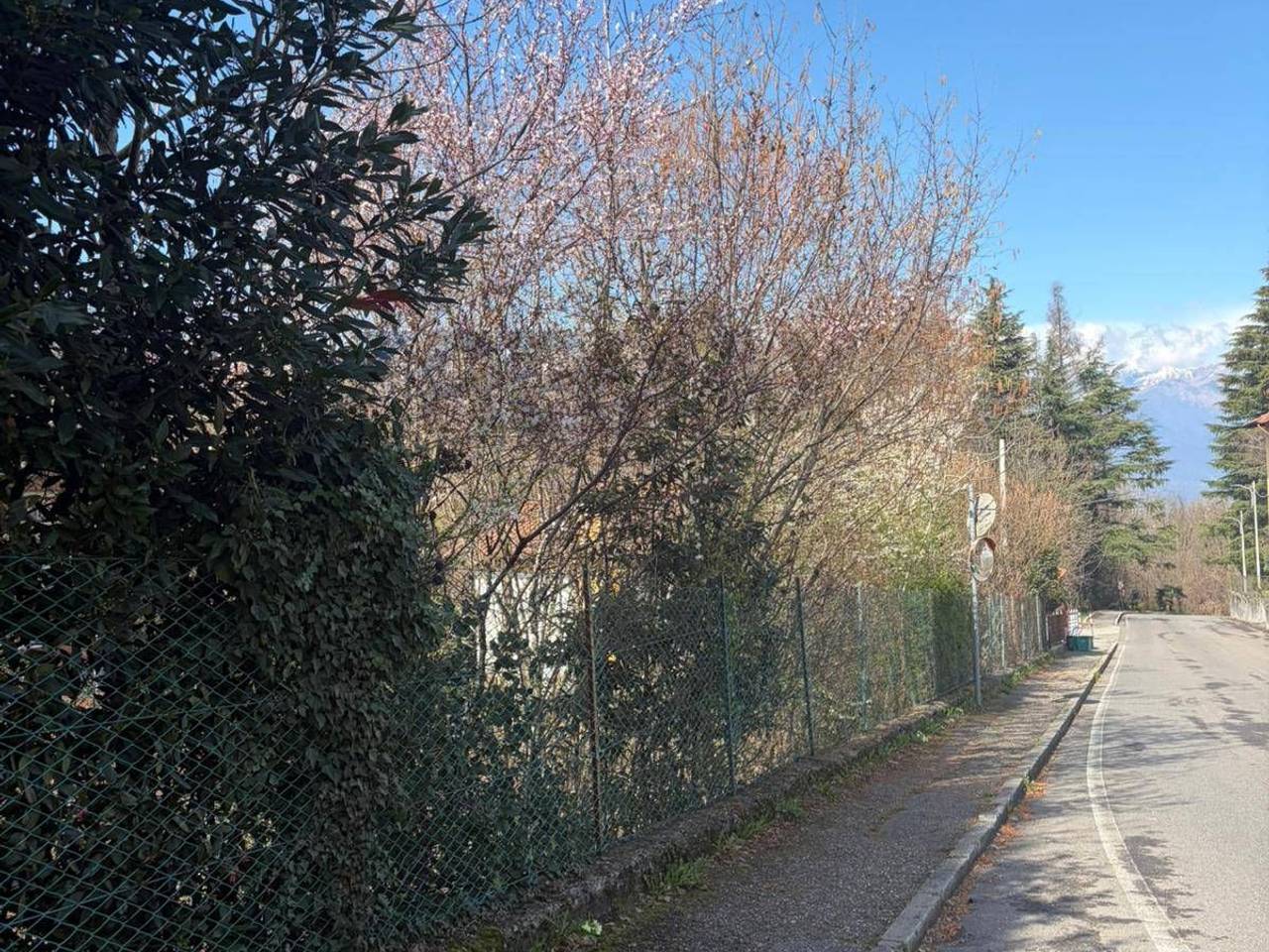 immagine annuncio 2 di 4