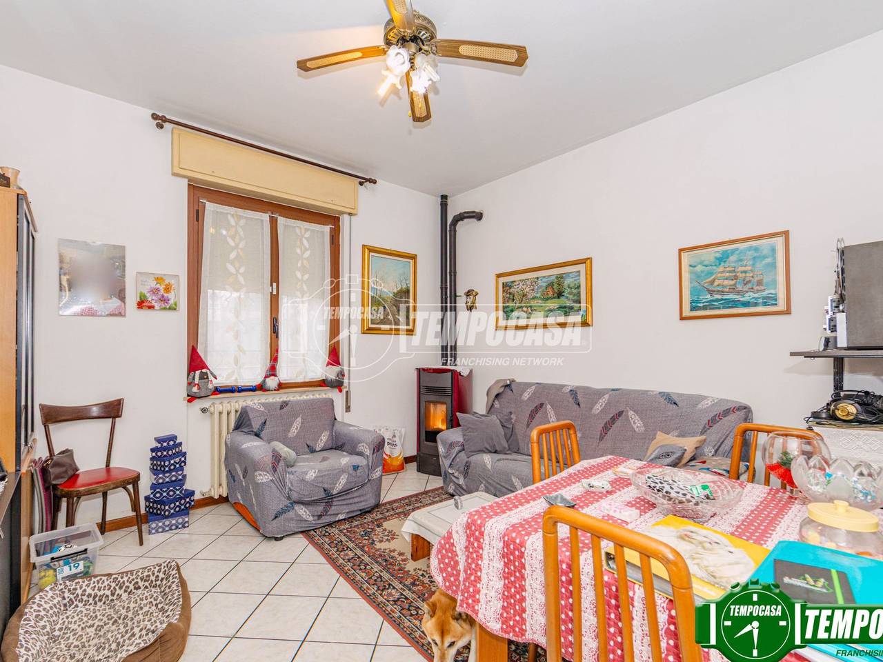 immagine annuncio 1 di 13