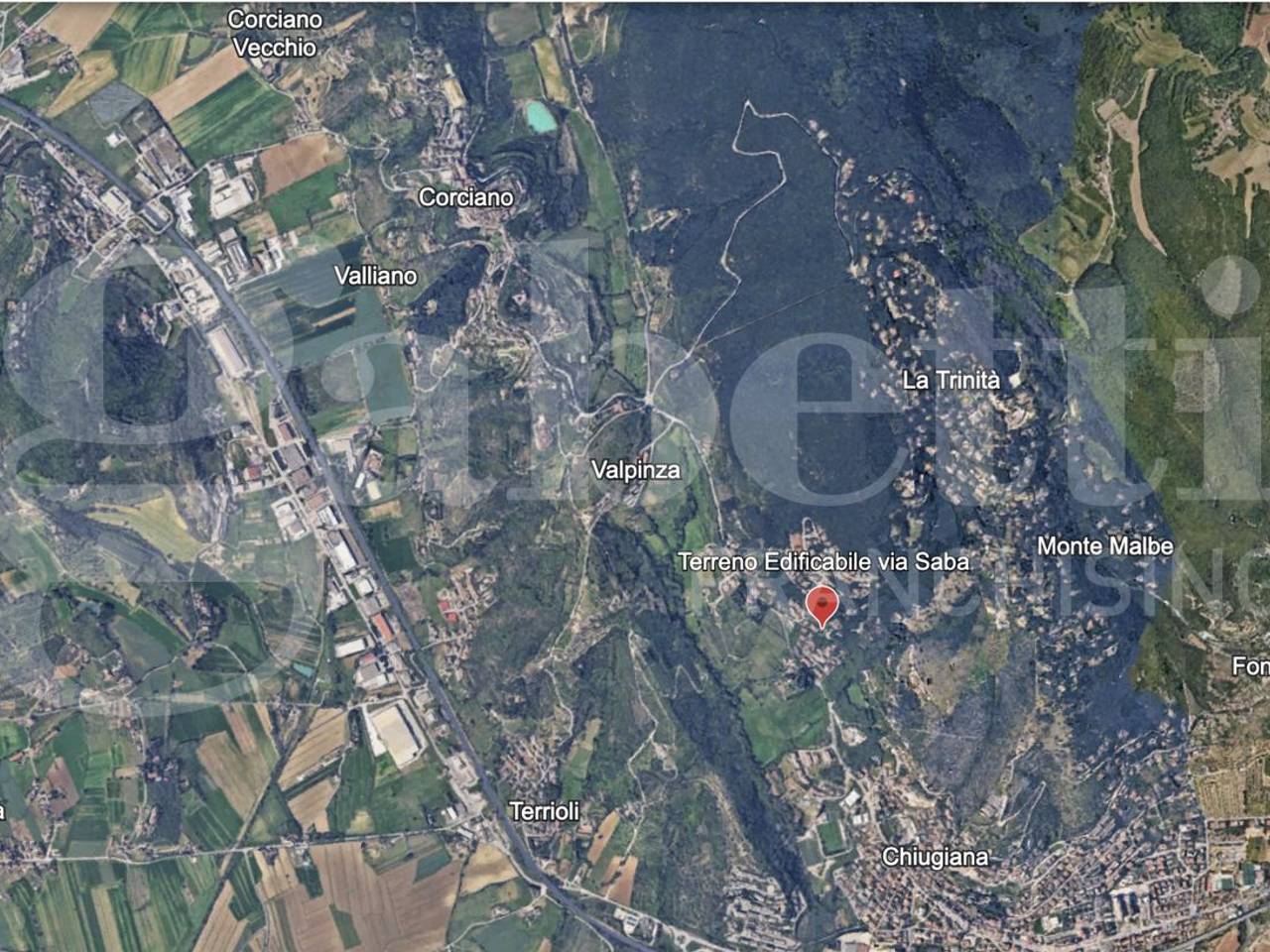 immagine annuncio 5 di 13