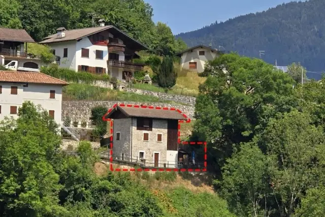 insertion image