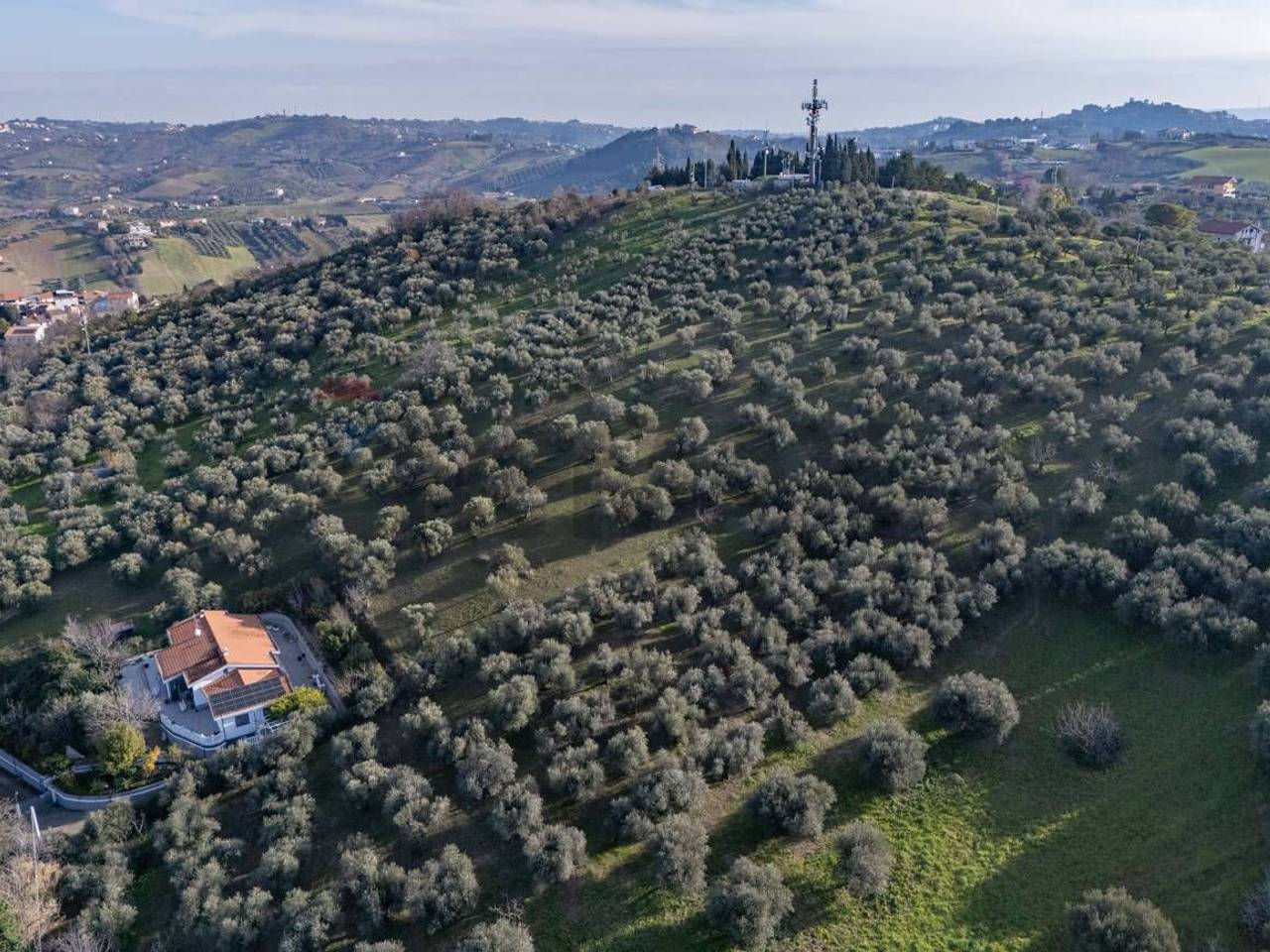 immagine annuncio 6 di 8