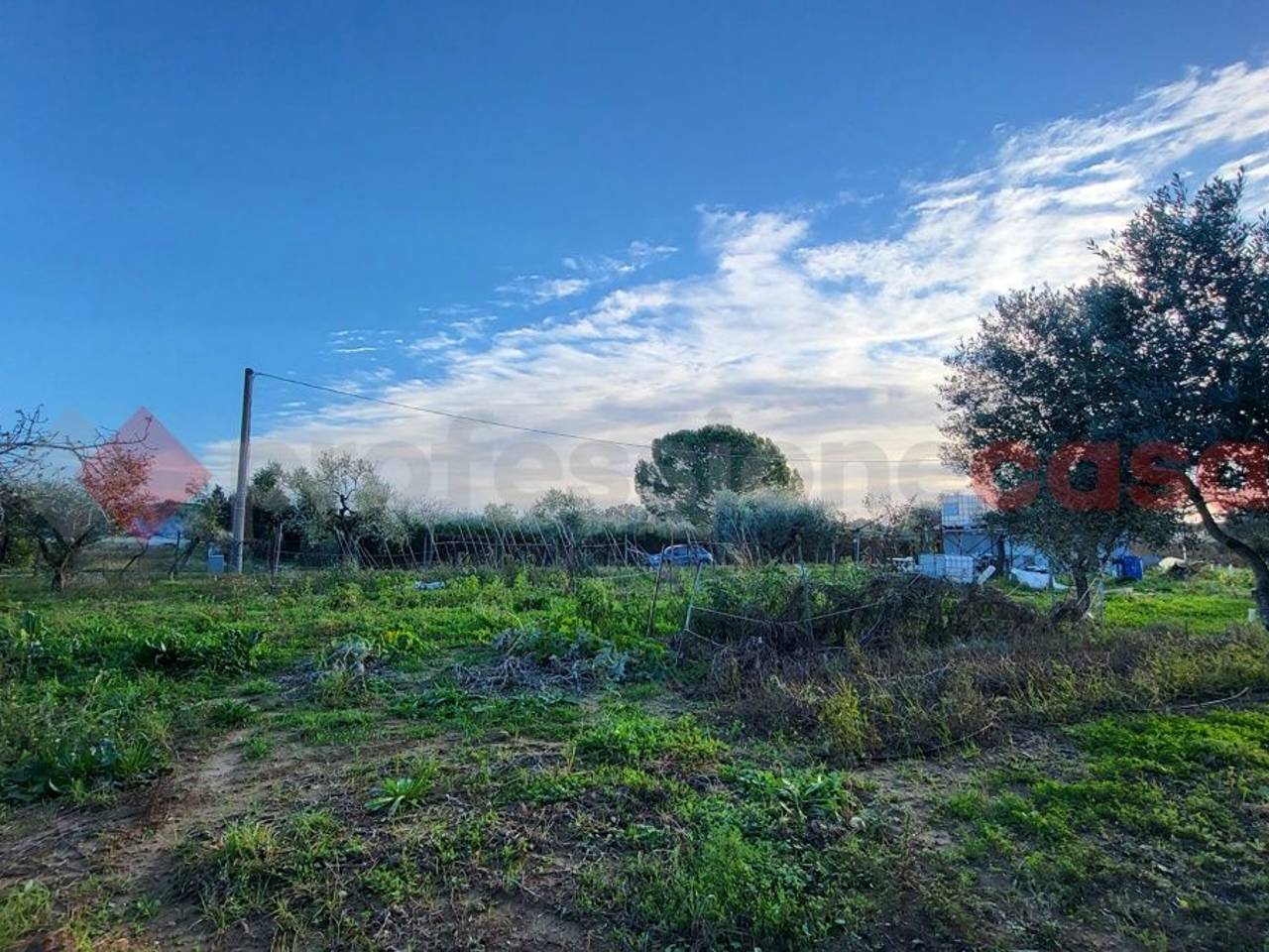 immagine annuncio 5 di 11